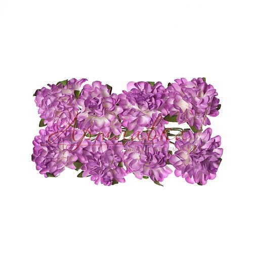 Астры декоративные, сиреневые, 8 шт\уп