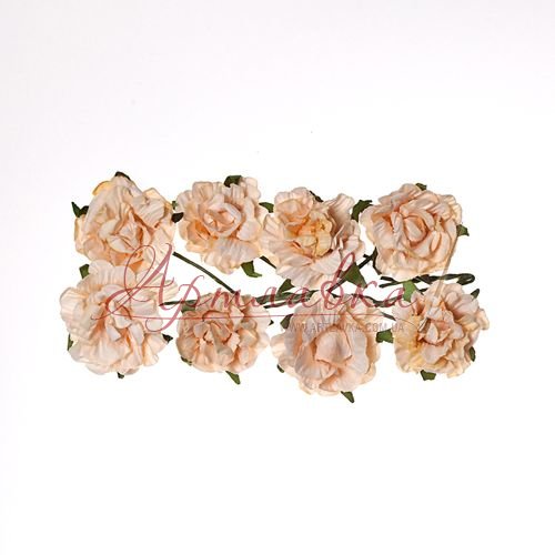 Трояндочки пишні, персикові, 8 шт\уп