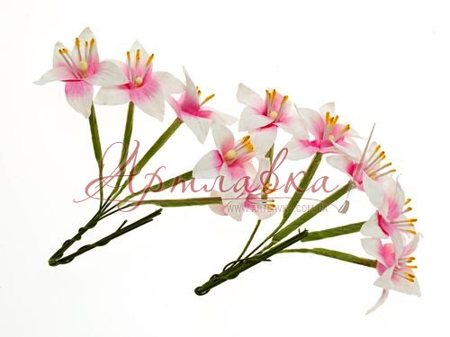 Лілії рожеві, 10шт/уп